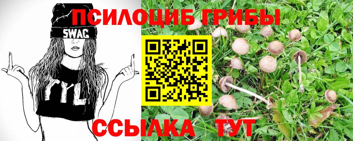 Псилоцибиновые грибы прущие грибы  Вход с VPN  Псилоцибиновые грибы прущие грибы  Ликино-Дулёво 