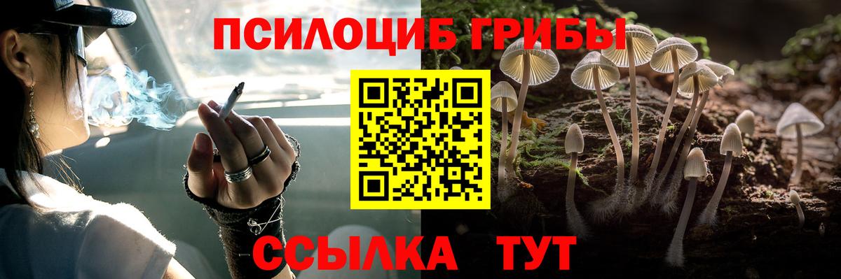 Псилоцибиновые грибы GOLDEN TEACHER Ликино-Дулёво